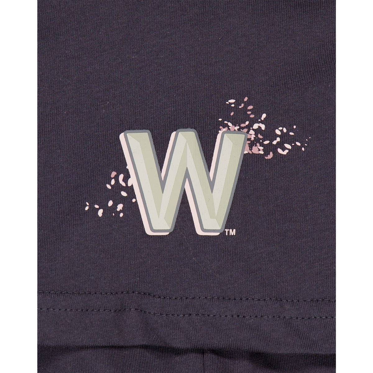 Washington Nationals City Connect Gray T-Shirt