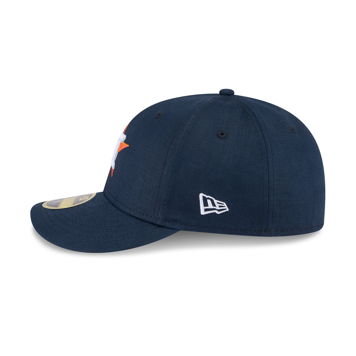 Houston Astros Snake Scale Logo Low Profile 59FIFTY Fitted Hat
