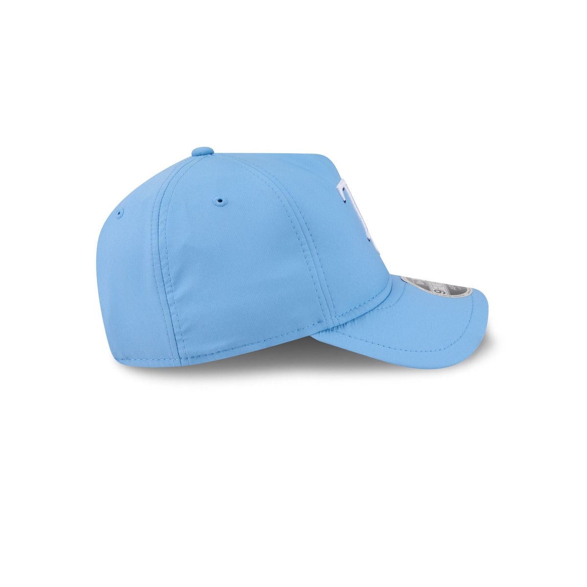 Tampa Bay Rays 9FORTY APEX Snapback Hat