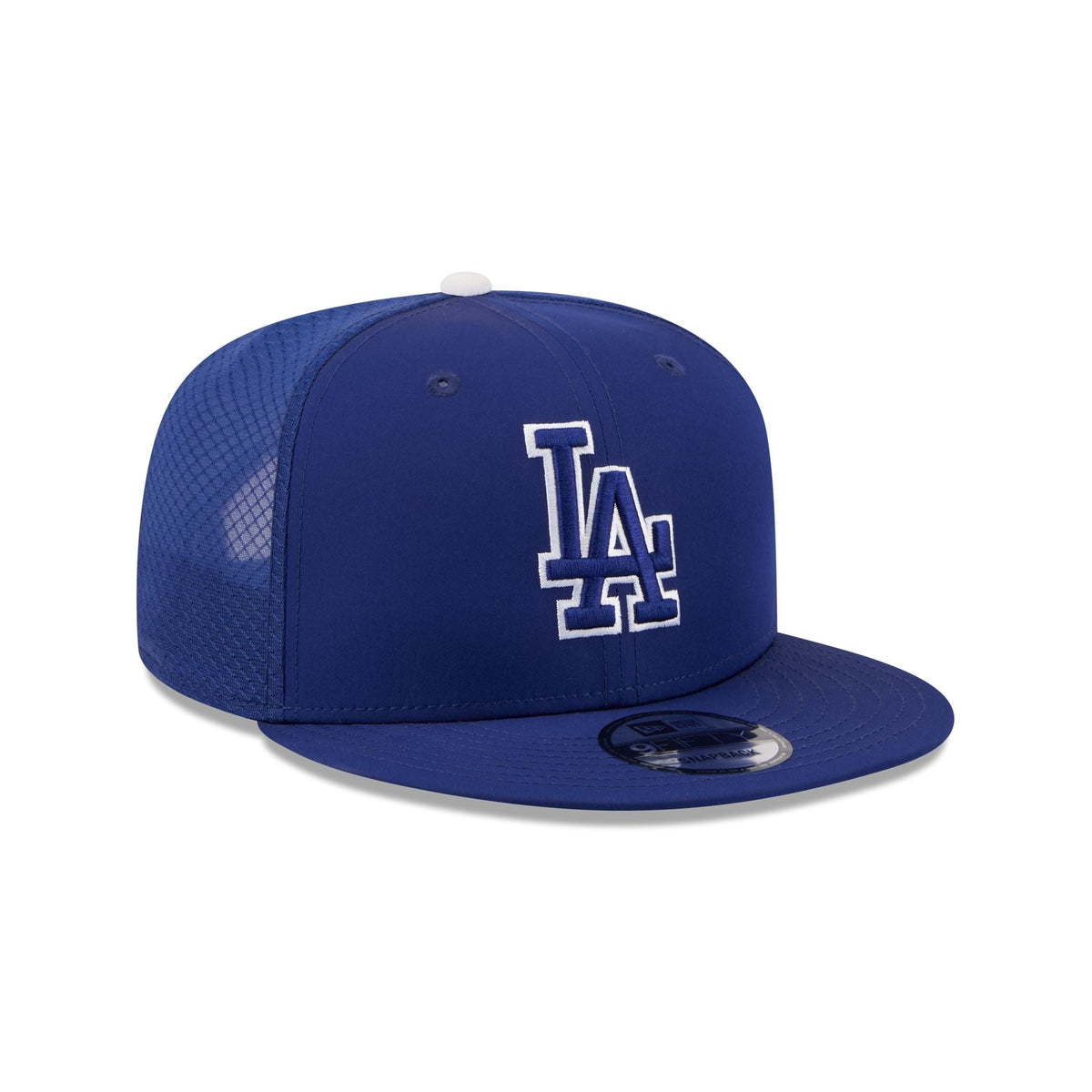 Los Angeles Dodgers 2026 Batting Practice Fan Pack 9FIFTY Snapback Hat