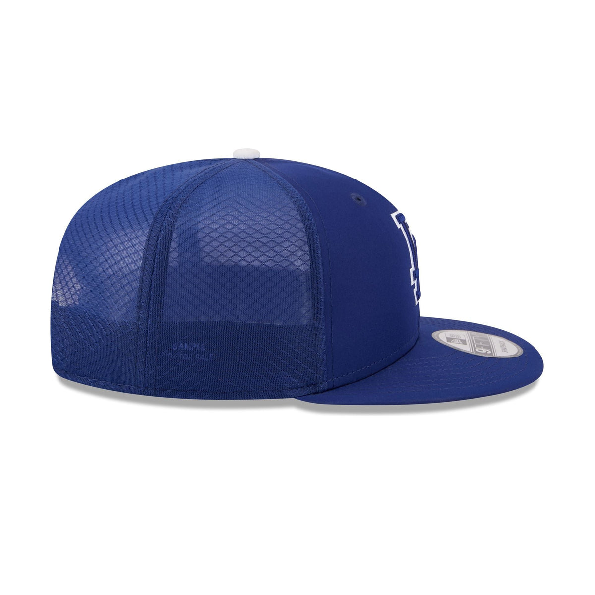 Los Angeles Dodgers 2026 Batting Practice Fan Pack 9FIFTY Snapback Hat