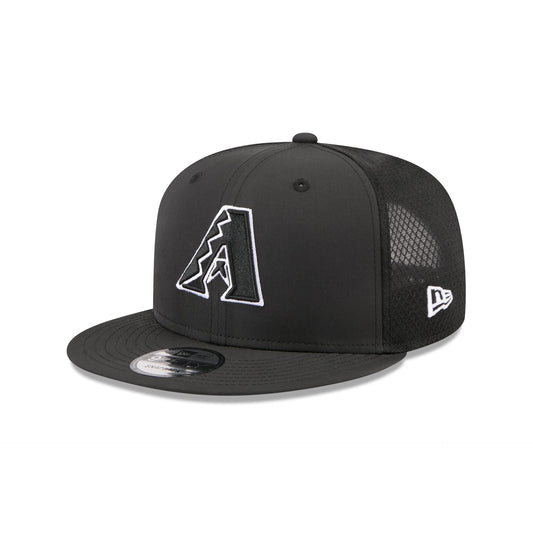 Arizona Diamondbacks 2026 Batting Practice Fan Pack 9FIFTY Snapback Hat