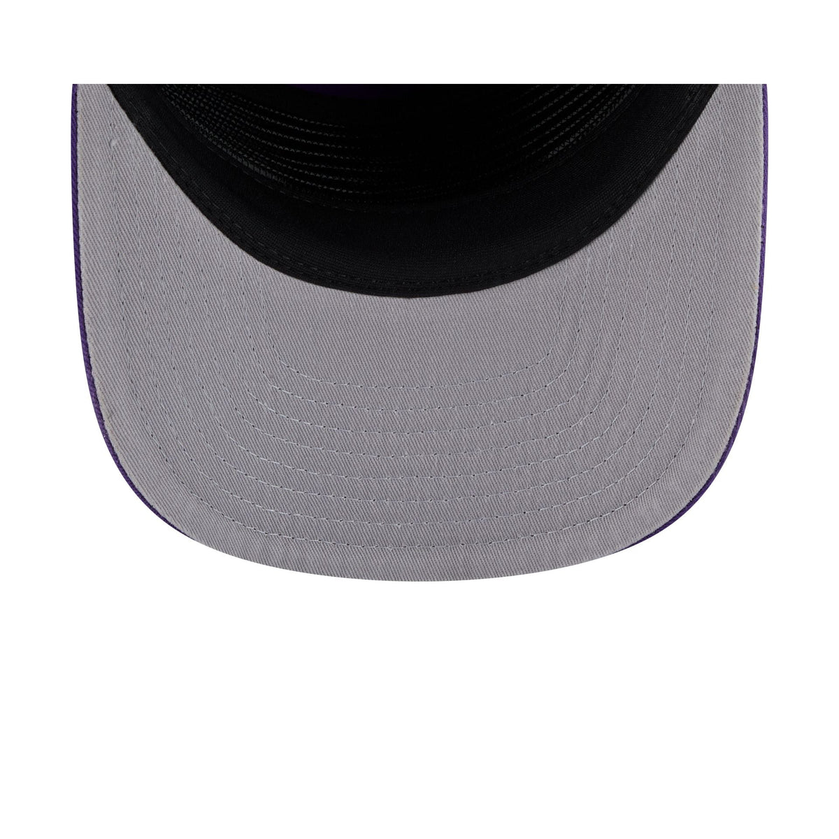 Minnesota Vikings Team 19TWENTY Snapback Hat