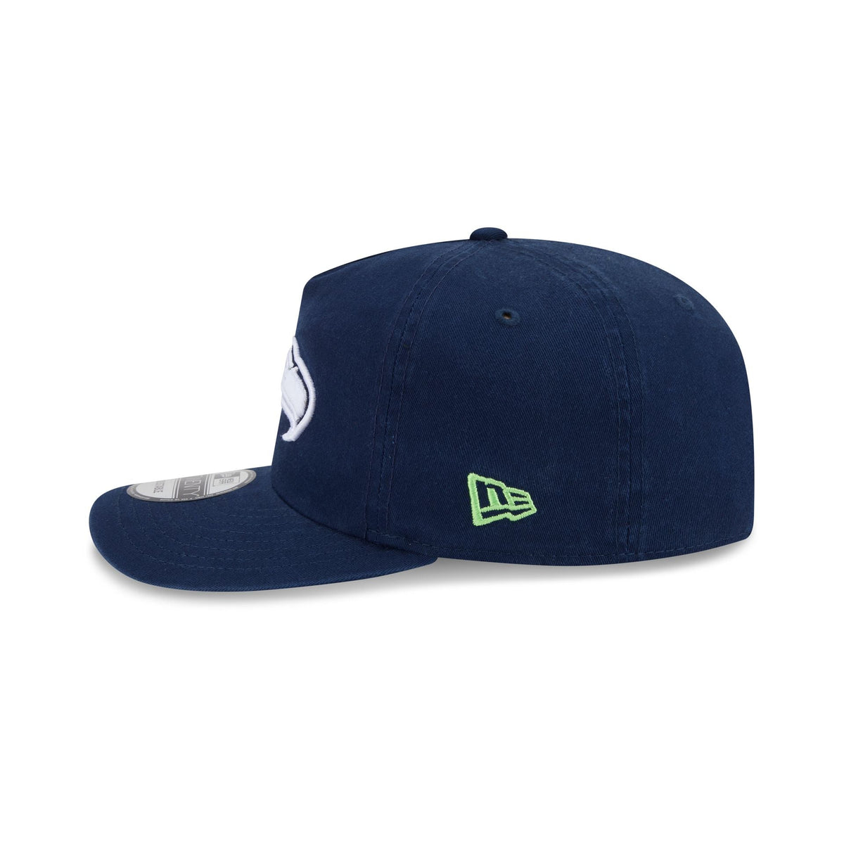 Seattle Seahawks Team 19TWENTY Snapback Hat