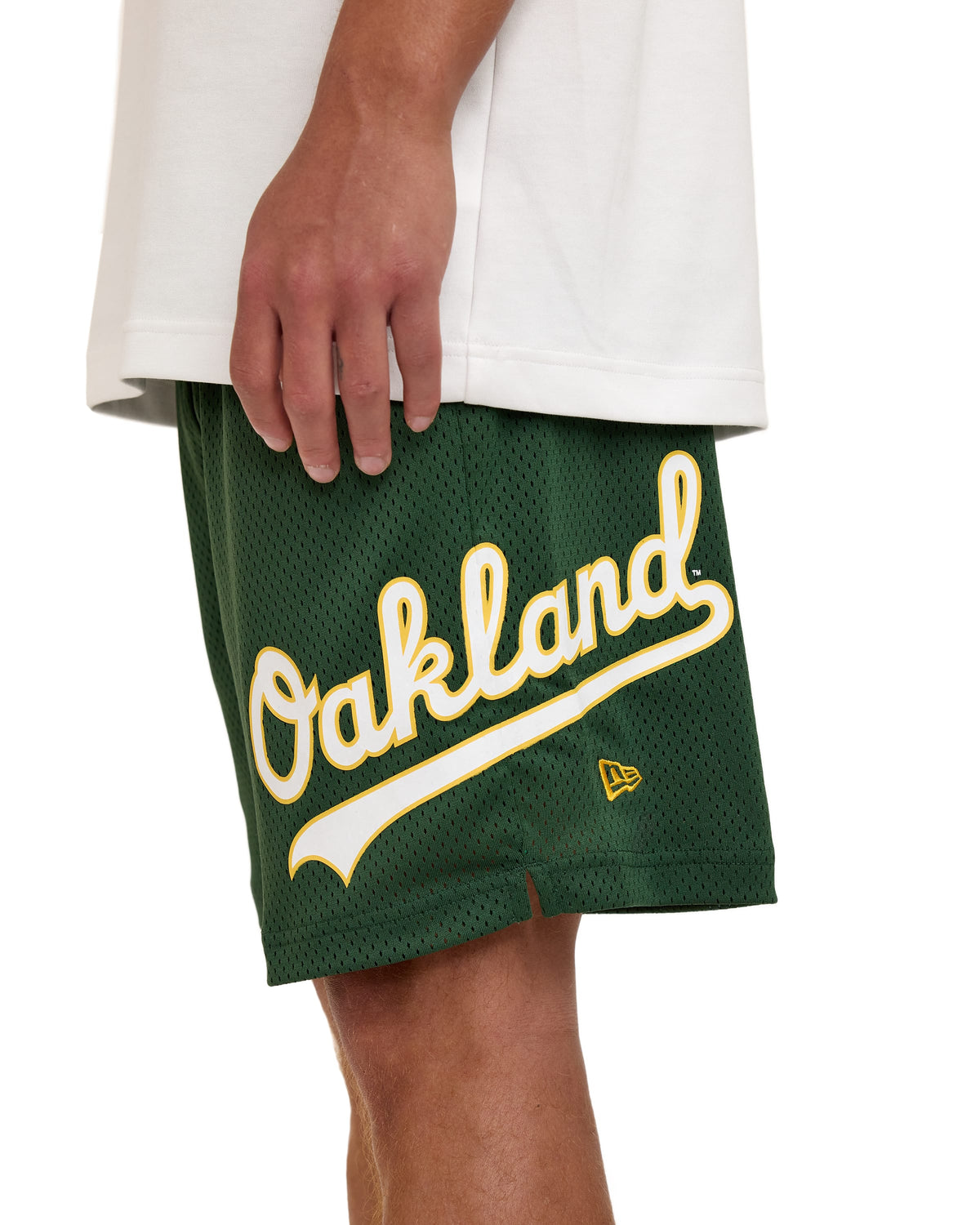Chicago Cubs Summer Shorts